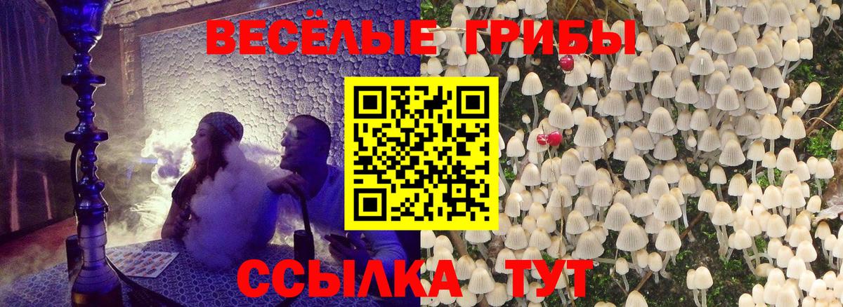 Псилоцибиновые грибы GOLDEN TEACHER Кыштым