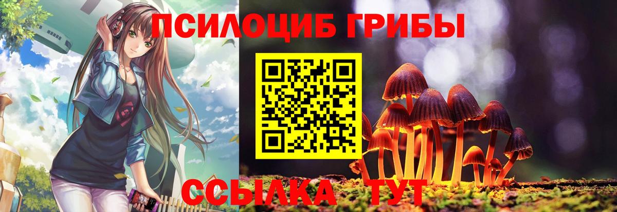 купить наркотики цена  Псилоцибиновые грибы мухоморы  Вход с VPN  Кыштым 